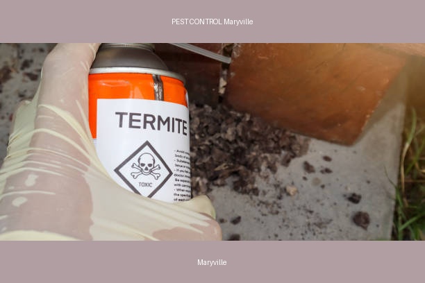 PEST CONTROL Maryville